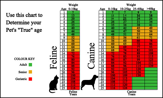 Surveillance Screening Age Chart Surveillance Screening Age Chart